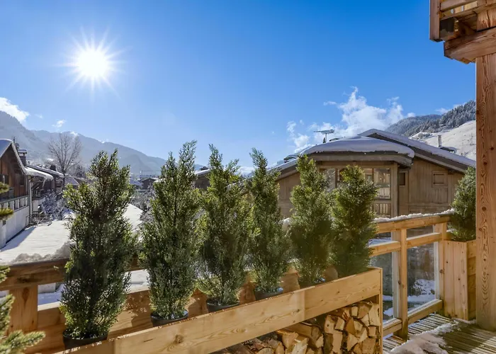 L'alezan I Proche Du Centre De * 梅杰夫